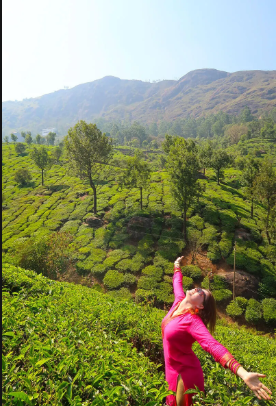 4-Day Munnar Emerald Tea Slopes & Mist Retreat